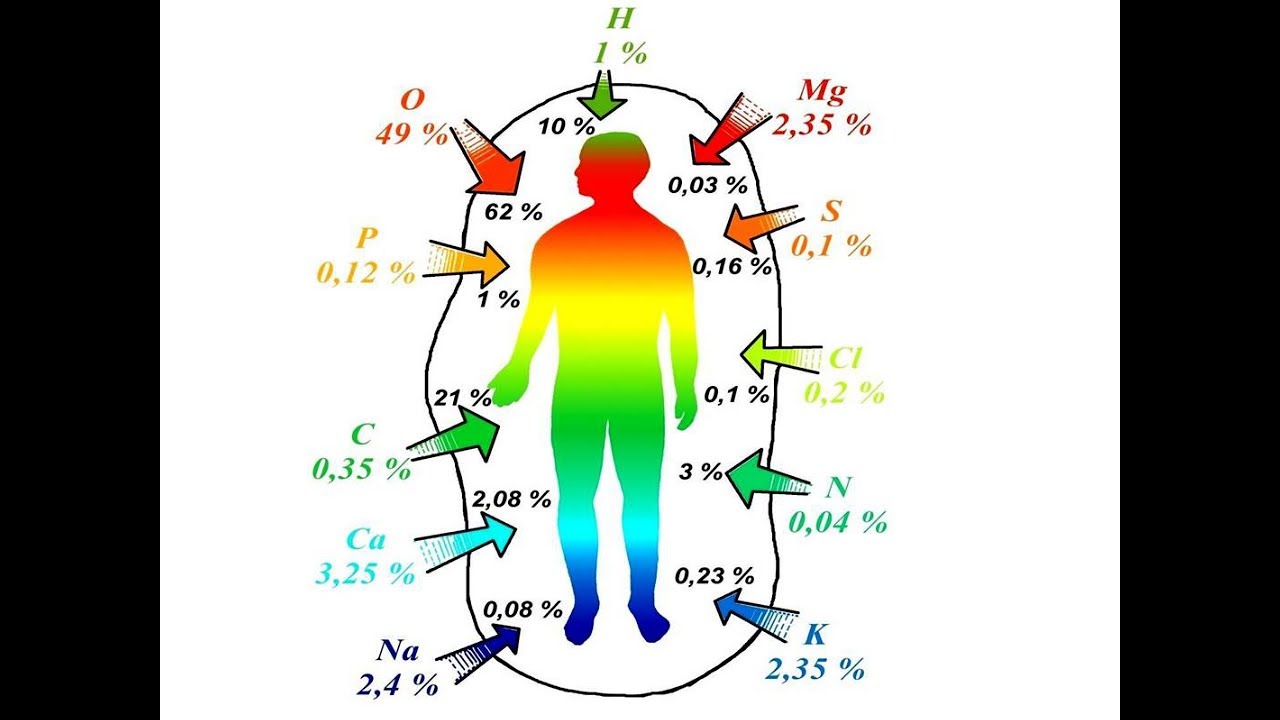 В организм человека самый распространенный. Химия в организме человека. Элементы в организме. Химические элементы в организме человека. Элементы в человеческом организме.