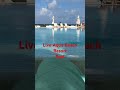 #beachresort #cancun #cancunmexico #vacation #trending #shortsviral #ytshort #vlog #minivlog #fun