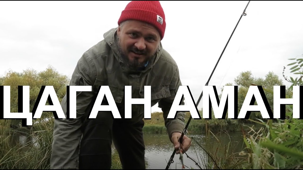 Цаган аман волга