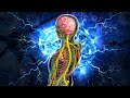 Alpha Waves Heal The Entire Inside Of The BRAIN (Warning:Very Powerful)REJUVENATION &amp; ATTRACTIVENESS