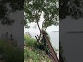 Thanneermukkom Bund | Food Spot | Evening outing with family | Tourist spot | Photoshoot spot -1