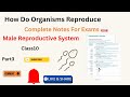 Male Reproductive System|Chapter8|Class10|Full Explanation|Complete Notes 📝|NCERT