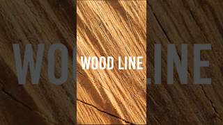 Уют, созданный самой природой в коллекции Wood Line