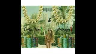 Strypez - Palm Tree And Arizona