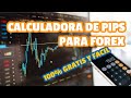 📊Como Calcular Apalancamiento (Lotaje) de Forex  y Gestión de Riesgo