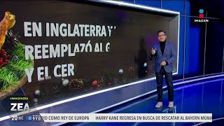 ¿Por qué comemos pavo en Navidad? | Noticias con Francisco Zea ¿Por qué comemos pavo en Navidad? | Noticias con Francisco Zea