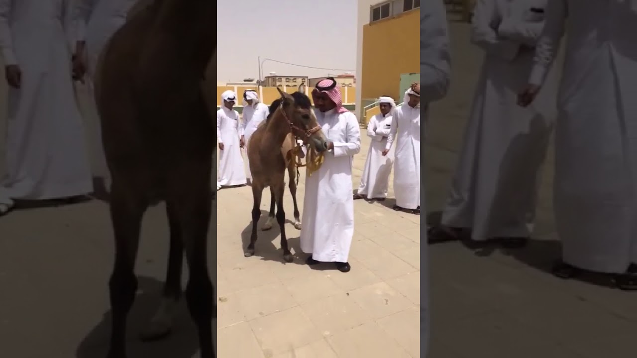 تكريم الطالب الشاعر فيصل بن صالح جرادان النسي الهلالي من مدير المدرسه ناصر لحول الهمامي ...نجران