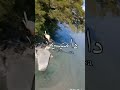 اغنيه في وحده اسمها منه في جملها مفيش تنين2021