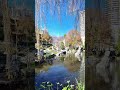 Explore cultural sites in your own backyard. You don't need to travel abroad to experience beauty