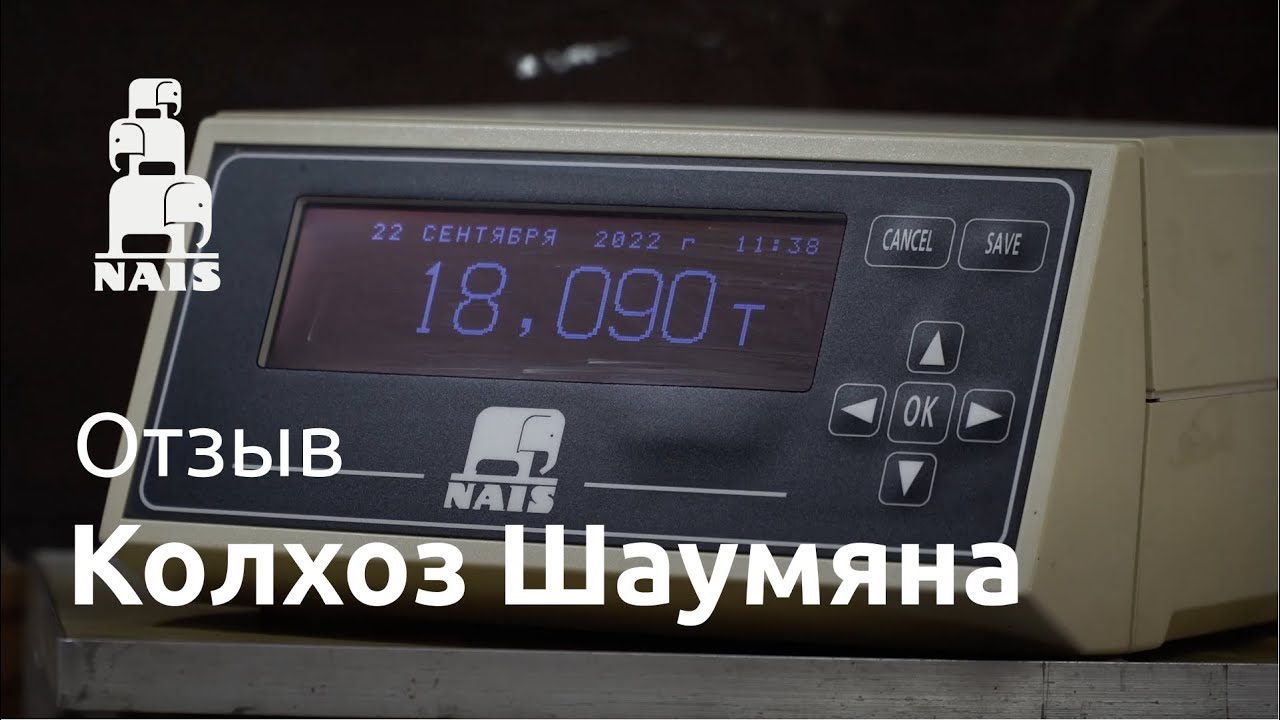 Автомобильные весы наис