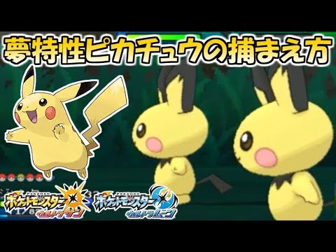 Usum ピチューのおぼえる技 入手方法など攻略情報まとめ ポケモンウルトラサンムーン 攻略大百科