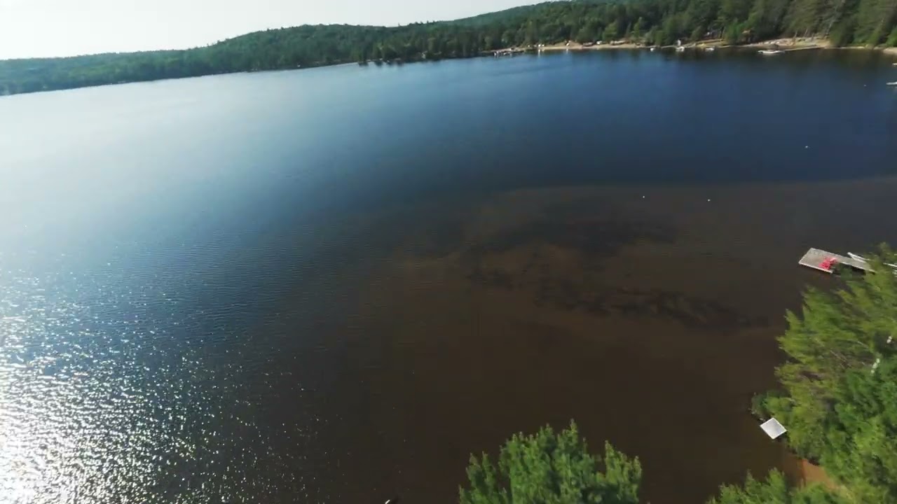 Daytime Views at Lake of Bays – Dwight Bay Lane (4K)