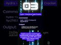 Top 5 Hacking Tools in Action (2025 Edition)