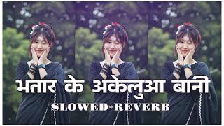     slowedreverb bhojpuri Lofi Song avdheshpremi  Bhatar Ke Akelua Bani New