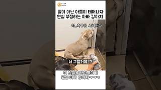 딸을 원했던 강아지가 아들이 태어나자 보인 반응