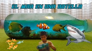 El mar en una botella | Mario Saiz |