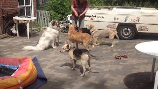 Download Lagu Snoepje MP3