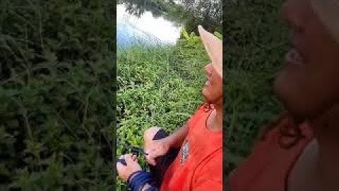 Câu cá Nông thôn Tốt nhất Châu Á 🐟 Kỹ thuật Câu Cá Tuyệt vời 🐟 #shorts