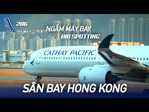 Video: Quý Tại Sân Bay