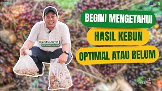 Hasil Kebun Sudah Optimal atau Belum?? Ini Cara Mengetahuinya!!