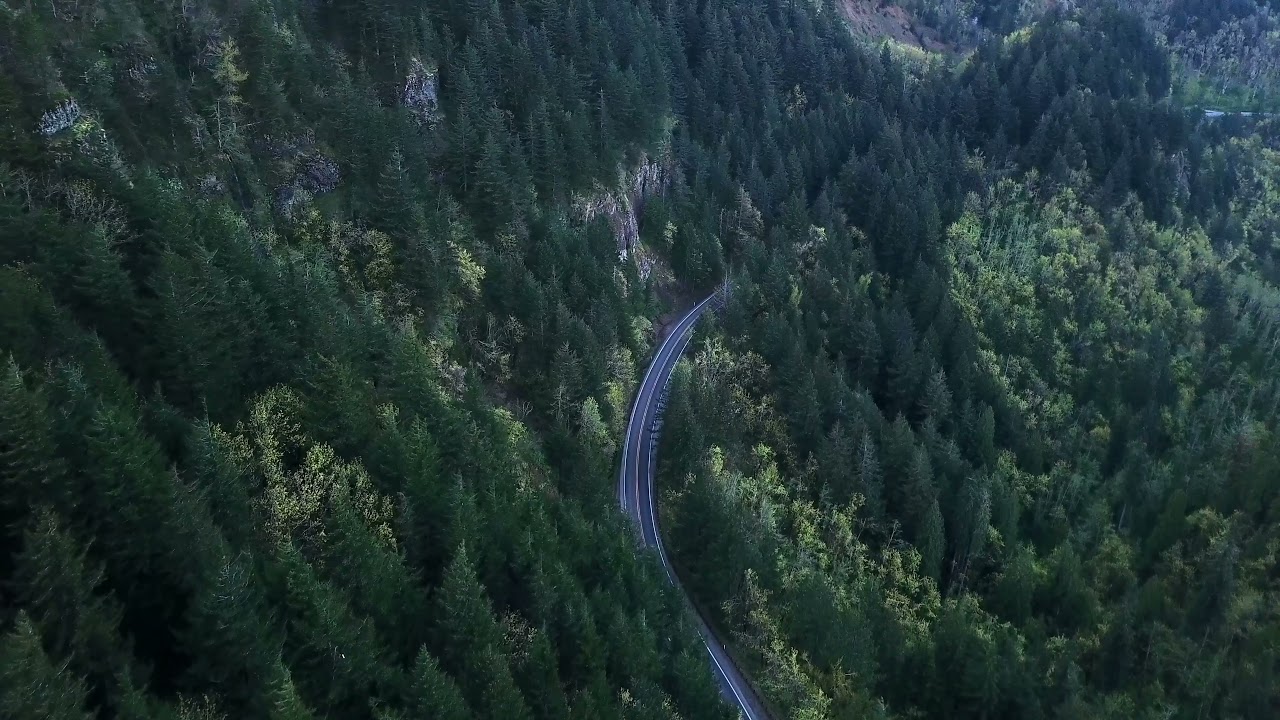 ELFL   Purple Voyager