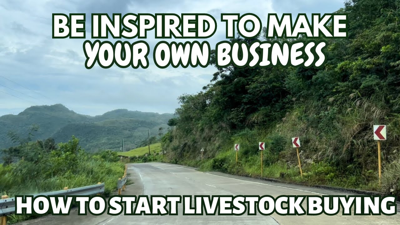BE INSPIRED TO MAKE YOUR OWN BUSINESS HOW TO START LIVESTOCK BUYING