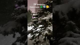 Зима в Краснодаре ❄️☺️👍🏻 #sorts #снег #shortvideo #short #длядрузей #природа #краснодар #еленажукова