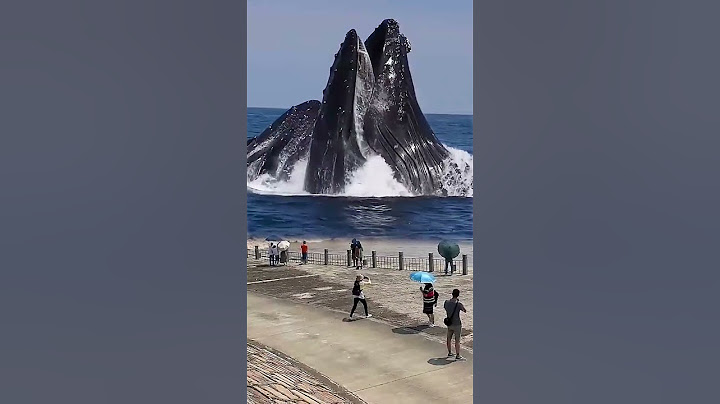 ANIMAIS DO FUNDO DO OCEANO | DEEP BLUE SEA | BALEIAS GIGANTES 🐳 #deepbluesea #jubarte #baleias