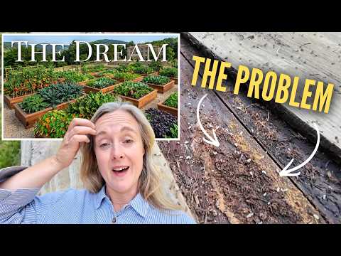 The One Thing that Nearly Stopped Our Dream Kitchen Garden