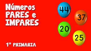 Definición De Los Números Pares E Impares Para Primaria