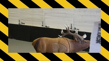 Moving 3D archery targets! (Oh MY)