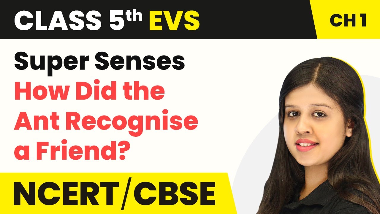 Class 5 EVS Chapter 1 | Super Senses - How Did the Ant Recognise a Friend? | Class 5 EVS NCERT