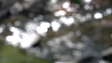 Beachfront B-Roll- Stream Bokeh (Free to Use HD Stock Video Footage)