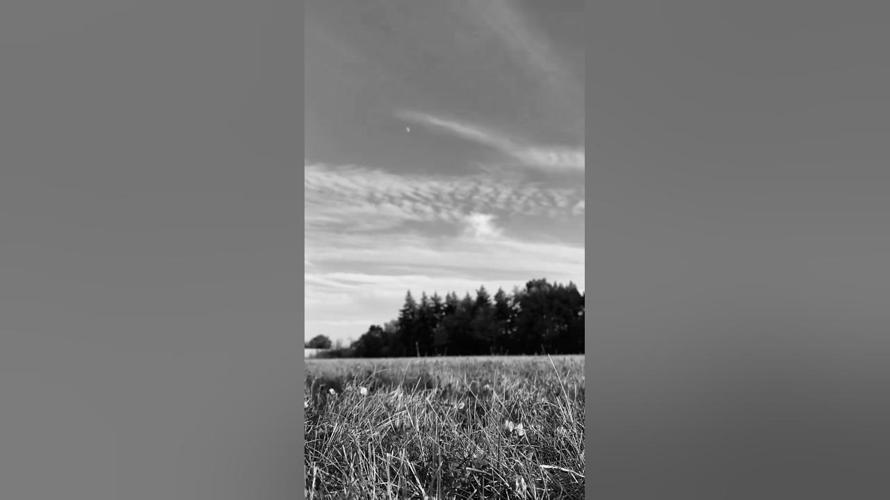 nature-s-symphony-dancing-trees-and-racing-clouds-youtube