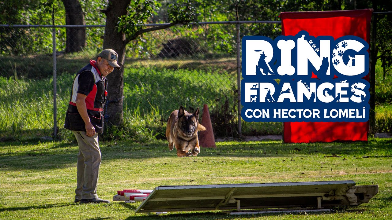 Participación Hector Lomelí con su rutina de Ring Frances nivel 3