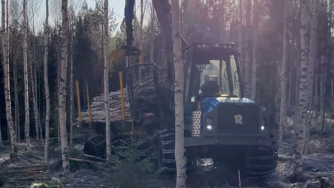 A beautiful day in the forest with a Rottne F15E