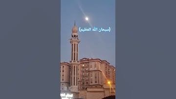 #عبدالرحمن_مسعد #عبدالرحمن_مسعد_تلاوة_جديدة #quran #اكسبلور #قرآن #الرحمن #المصحف