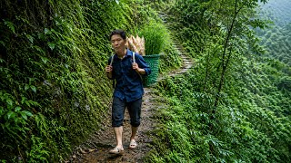 The Mountains Gave Me Another Rich Harvest… Wild Bamboo Shoots, Fresh Chives, Garden | Solo Survival