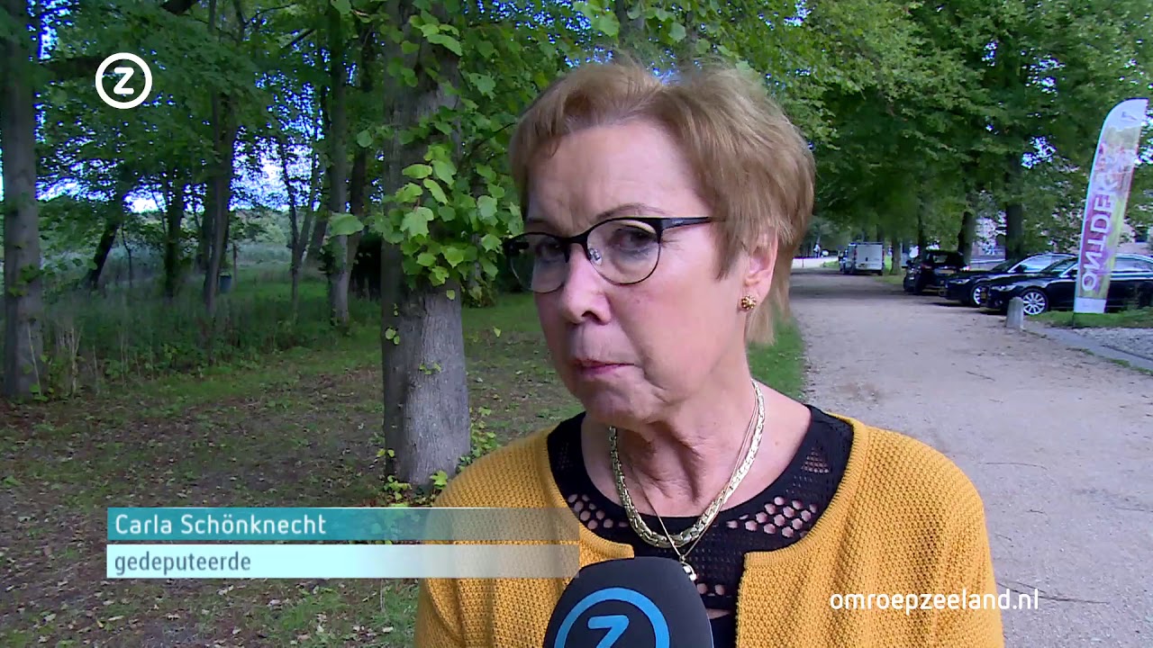 De laatste oogst in de Hedwigepolder