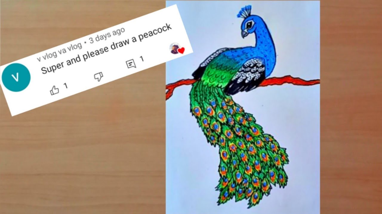 How to Draw a Peacock Step by Step || Easy Peacock Drawing - YouTube