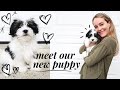 WE GOT A PUPPY! Bringing home our 9 week old Havanese puppy | @katieflute vlogs