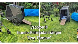Hamfelder Flats entdecken den Croozer® Dog Tammo – Erstes Welpen-Abenteuer mit dem Fahrradanhänger