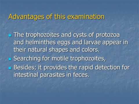 Video: Parasitic Infection Ntawm Cov Ntshav Hlav Hauv Ntshav