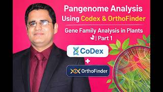 Pangenome Analysis Using Codex & OrthoFinder | Gene Family Analysis in Plants | Part 1
