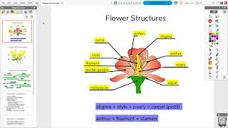 Learn Promethean  Importing and Exporting PDFs in ActivInspire