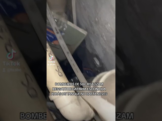 BOMBEIROS DE SBC REALIZAM RESGATE DE GATINHA ESCONDIDA ATRÁS DE TANQUE NO BAETA NEVES