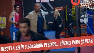 Mesut'la Selin O Boksörün Peşinde! Gizemli Para Dolu Çanta 529. Bölüm