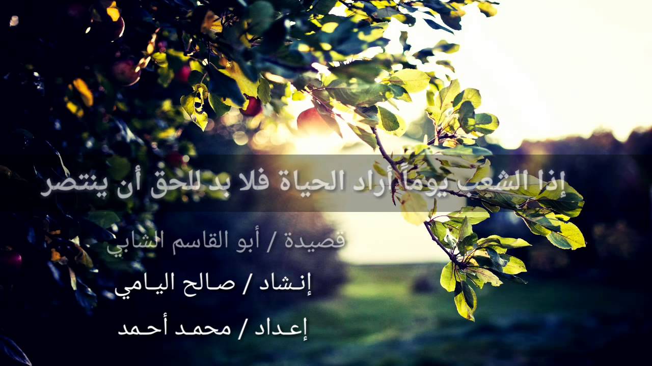 إذا الشعب يوما أراد الحياة