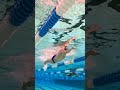 How to Swim Perfect Freestyle in 60 Seconds