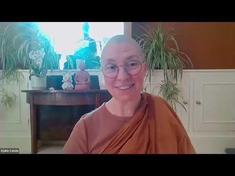 From Brawling Monks to Right View and Inspiration (MN 48) | Ajahn Canda | 3rd July 2026